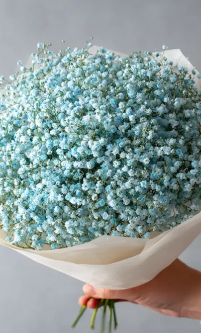 Монобукет из голубой гипсофилы