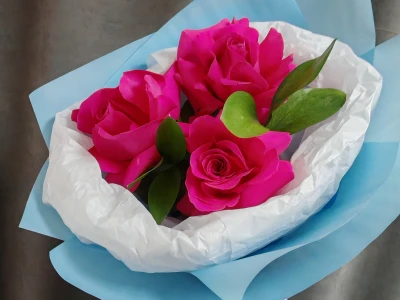 Маленькая надежда 