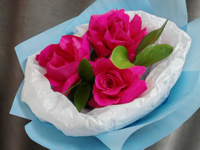 Маленькая надежда 