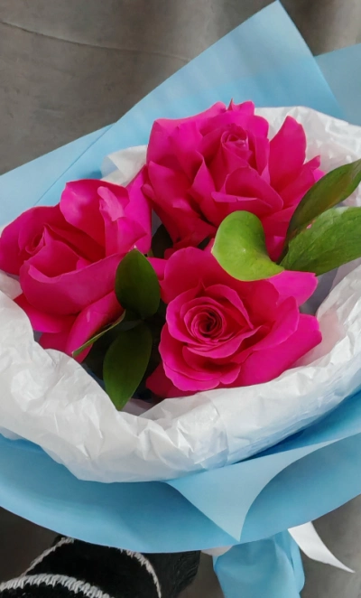 Маленькая надежда 