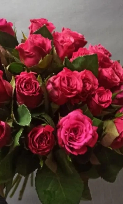 Аромат марта