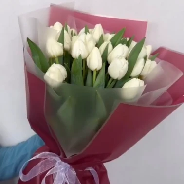 Белые весенние тюльпаны