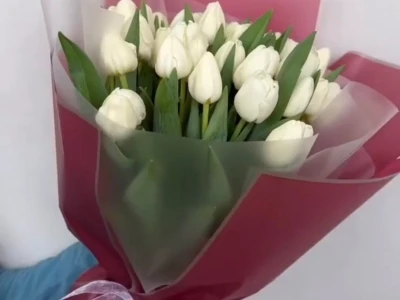 Белые весенние тюльпаны