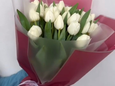 Белые весенние тюльпаны