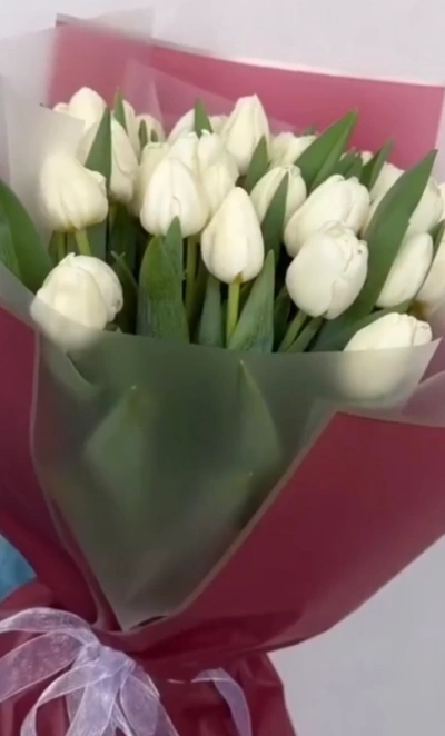 Белые весенние тюльпаны