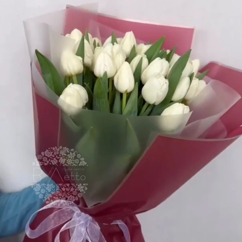 Белые весенние тюльпаны