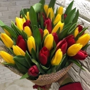 Солнечные тюльпаны 0