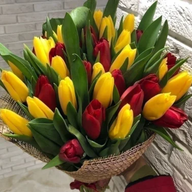 Солнечные тюльпаны