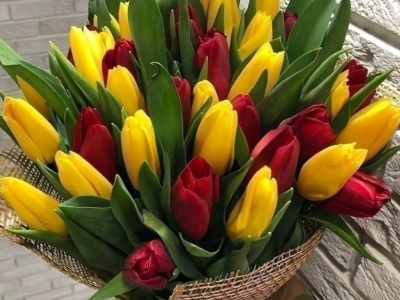 Солнечные тюльпаны