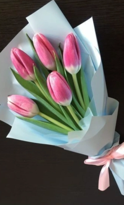 Нежные тюльпаны любви