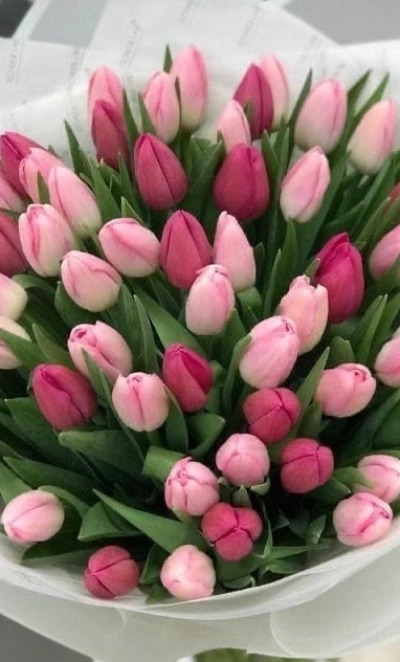 Розовое настроение