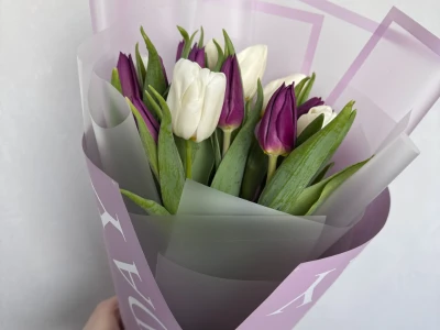 Тюльпаны нежности