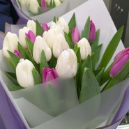 Тюльпаны нежного оттенка 0