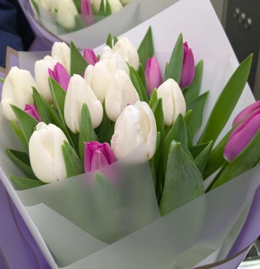 Тюльпаны нежного оттенка