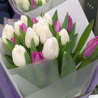 Тюльпаны нежного оттенка