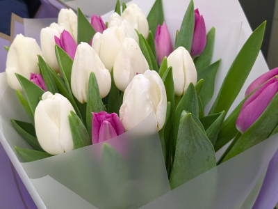 Тюльпаны нежного оттенка