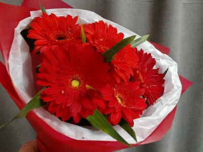 « На закате дня »